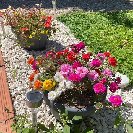 בית נופש Tesori Del Sinis *