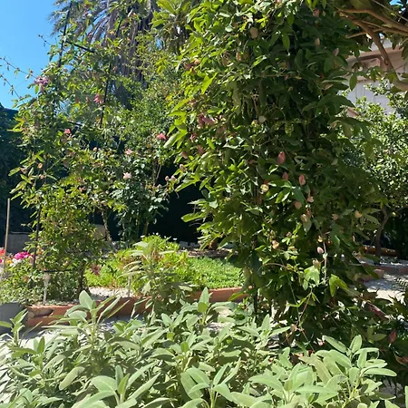 Tesori Del Sinis * Càbras