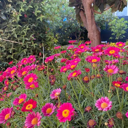 Tesori Del Sinis בית נופש *