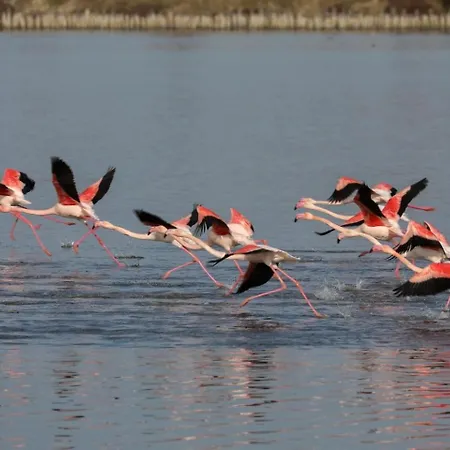 Tesori Del Sinis בית נופש Càbras